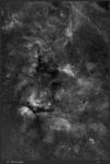 IC1318_Panorama.jpg
